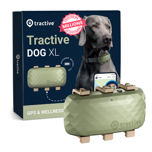 Tractive GPS Dog XL - Green